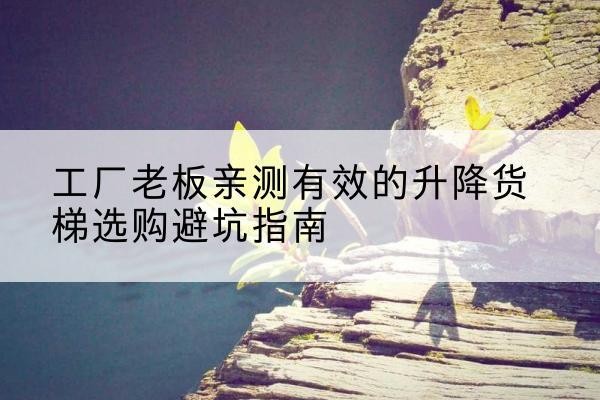 洮南升降货梯怎么选-工厂老板亲测有效的升降货梯选购避坑指南