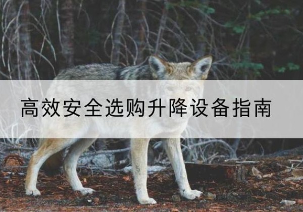 洮南升降货梯厂家推荐-*安全选购升降设备指南