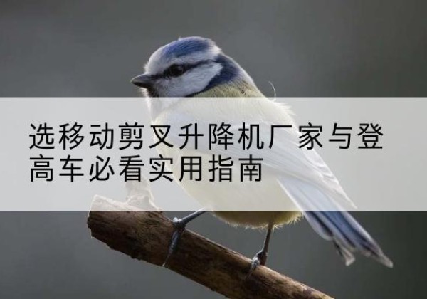 洮南电动升降机厂家-选移动剪叉升降机厂家与登高车必看实用指南