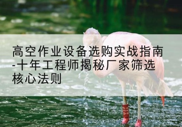 洮南剪叉式升降机厂家-高空作业设备选购实战指南-十年工程师揭秘厂家筛选核心法则